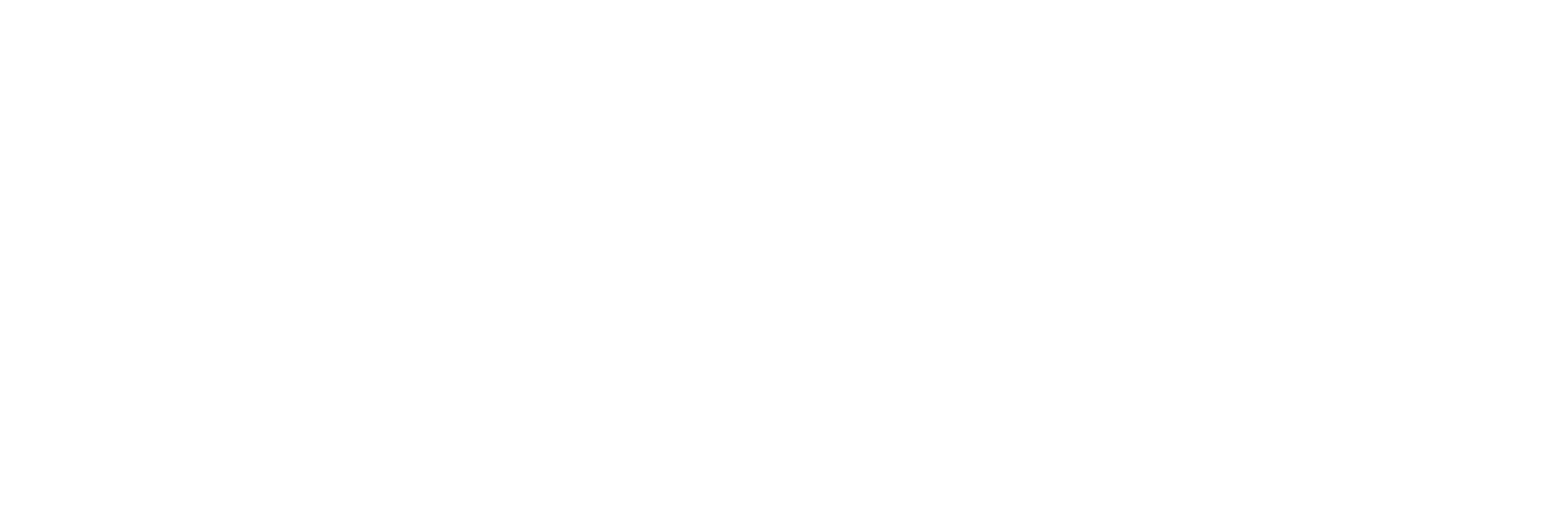 eSystemAI